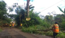 Hati-Hati, Jalur Puncak Rawan Terjadi Longsor dan Pohon Tumbang - JPNN.com