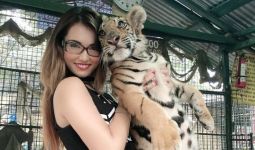 Maria Ozawa Gendong Anak Harimau, Bikin Gemas - JPNN.com