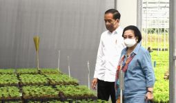 Didampingi Megawati, Jokowi Tinjau Program yang Bisa Menyelesaikan Masalah Tanah Air - JPNN.com