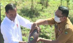 Pak Jokowi Sampai Tertawa, Kendi Air Keramat dari Ridwan Kamil Lama Terkuras di IKN - JPNN.com