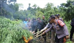 117 Anggota BNN Kepung Dusun Meurah Aceh, Hasilnya Luar Biasa - JPNN.com