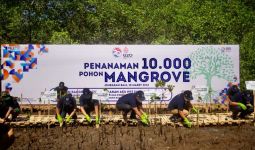 BRI dan PPATK Tanam 10 Ribu Pohon Mangrove Pada Peringatan 20 Tahun APU dan PPT - JPNN.com