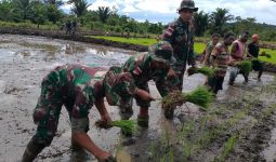 Lihat, Begini Cara Prajurit TNI Mendukung Ketahanan Pangan di Papua - JPNN.com