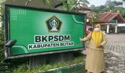 NIP PPPK & Pertek BKN Sudah Terbit, Anggaran Aman, Kok SK Belum Diberikan? - JPNN.com