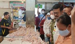 2 Pasar di Kelapa Dua Tangerang Disidak, Mentan Temukan Fakta Ini - JPNN.com