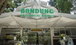 Hore! Ada Kabar Baik dari Kebun Binatang Bandung - JPNN.com