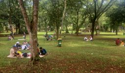 Data Terbaru Jumlah Pengunjung dan Harga Tiket Masuk di Taman Margasatwa Ragunan - JPNN.com