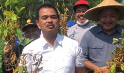 Kementan Genjot Produksi Kedelai dan Sosialisasikan Pupuk Organik Hayati - JPNN.com