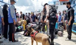 Antisipasi Masuknya Narkoba dan Bahan Peledak, Polisi Terjunkan Anjing Pelacak - JPNN.com