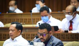 DPD RI Sampaikan Pandangan Terhadap 5 RUU Tentang Provinsi - JPNN.com