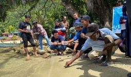 Begini Cara BBKSDA Papua Peringati Hari Penyu Sedunia - JPNN.com