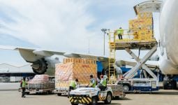Begini Strategi DHL Group Forwarding Mencapai Logistik Bebas Emisi - JPNN.com