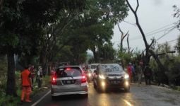 Ada Pohon Tumbang, Akses Cianjur Menuju Puncak Macet - JPNN.com
