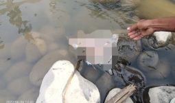 Pemancing Dapat Bungkusan Plastik Mencurigakan, Isinya Ternyata - JPNN.com
