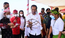 Lihat, Apa yang Dipegang Jokowi saat Meninjau Pameran UMKM di Wakatobi - JPNN.com
