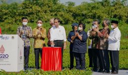 Resmikan Persemaian Rumpin di Bogor, Jokowi: Perbaiki Lingkungan dengan Aksi yang Jelas - JPNN.com