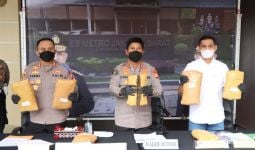 Polisi Menangkap NP di Sumatra, Barang Buktinya Banyak Banget, Astaga - JPNN.com