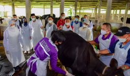 Jelang Iduladha, Gubernur Khofifah Pantau Langsung Distribusi Vaksin PMK di Jatim - JPNN.com