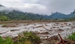 Banjir di Mamasa Merusak Puluhan Hektare Lahan Pertanian dan Hewan Ternak Hanyut - JPNN.com