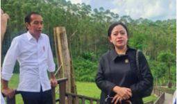 Puan: Presiden Mendatang Harus Teruskan Pembangunan IKN Nusantara - JPNN.com