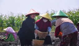 Puan Dengarkan Keluhan Petani Sambil Ikut Tanam Bawang di Brebes - JPNN.com