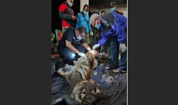 Citra Kartini Ditemukan Mati di Taman Nasional Kerinci Seblat, Mengenaskan - JPNN.com