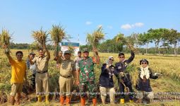 Lewat FFD, Ratusan Petani Kebumen Digembleng Program CSA - JPNN.com