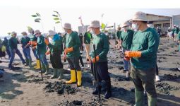 JICT Luncurkan Program Berbudaya Lingkungan dan Tanam 2.000 Mangrove - JPNN.com