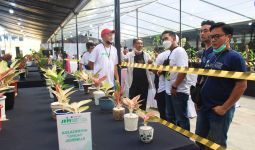 Jakarta Plant Market: Semaraknya Kontes Tanaman Hias di Ragunan - JPNN.com