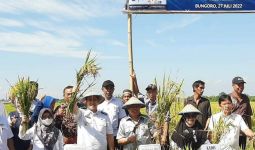 CSA Memberikan Dampak Signifikan Terhadap Pertanian di Pangkep - JPNN.com