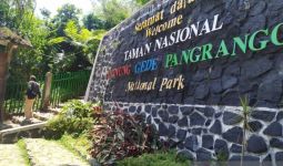 Maaf, Jalur Pendakian Gunung Gede-Pangrango Ditutup - JPNN.com