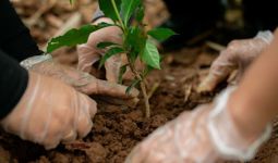 Lestarikan Alam, Shopee Fasilitasi Pengguna Sumbangkan Pohon Lewat Gim Ini - JPNN.com