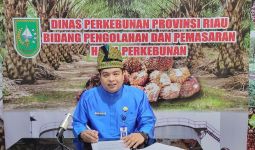 Harga TBS Kelapa Sawit di Riau Naik Lagi - JPNN.com