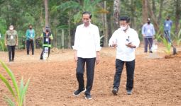 Didampingi Mentan SYL, Presiden Jokowi Luncurkan Program Kelapa Genjah 1 Juta Batang - JPNN.com