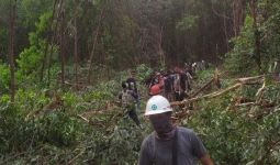 Detik-Detik Wanita Tewas Diterkam Harimau Sumatra saat Menunggu Suaminya Mandi - JPNN.com