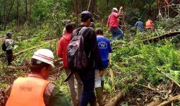 Seusai Seorang Wanita Diserang Harimau, BBKSDA Riau Pasang Perangkap di Lokasi Kejadian - JPNN.com