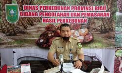 Makin Meroket, Simak Harga TBS Sawit Terbaru di Riau - JPNN.com