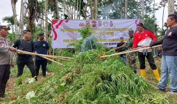 Polda Banten Buru Tersangka Sampai Ujung Sumatra dan Temukan Ladang Ganja - JPNN.com