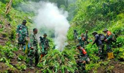 Anggota TNI Bergerak ke Pegunungan Tangse, Lihat Tuh yang Dimusnahkan - JPNN.com
