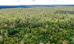 16 Negara Berdiri Bersama Indonesia Melawan UU Deforestasi Eropa - JPNN.com