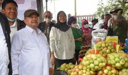 Kunjungi Kota Batu, Komisi IV DPR Temukan Masalah Serius Soal Produktivitas Apel - JPNN.com