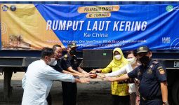Gandeng Kemenkeu One Jawa Timur, Bea Cukai Melepas Ekspor Rumput Laut ke China - JPNN.com
