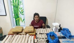 Mbak DS Menyimpan Barang Haram di Rumahnya, Pantas Ditangkap Polisi - JPNN.com