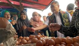 Zulhas Tinjau Pasar di Riau, Mak-mak Rebutan 'Telur Pak Mentri' - JPNN.com