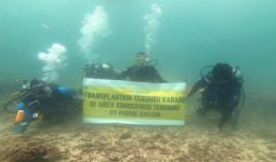 Lewat Cara Ini Pupuk Indonesia Grup Berkomitmen Dukung Rehabilitasi Terumbu Karang - JPNN.com