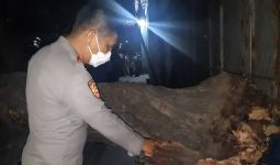 Innalillahi, Pengendara Motor Tewas Tertimpa Pohon di Bekasi - JPNN.com