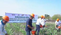 BUMN Dorong Perhutani Tingkatkan Produksi Gula Nasional - JPNN.com