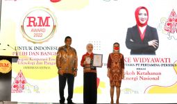 Selamat, Nicke Widyawati Raih Penghargaan Tokoh Ketahanan Energi Nasional - JPNN.com
