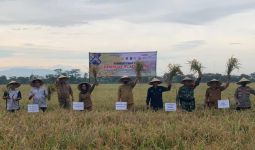 IP Petani Subang Meningkat Berkat Program CSA - JPNN.com