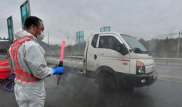 Flu Burung Kembali Ditemukan di Korsel, 10 Ribu Bebek Langsung Dimusnahkan - JPNN.com